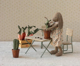 Miniatuur bloempot met cactus