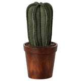 Miniatuur bloempot met cactus