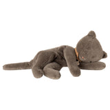 Sleeping kitten - Grey