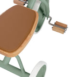Trike driewieler - Forest