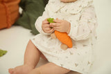 Auto - Cathy the Carrot