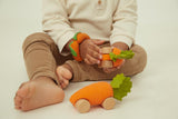 Auto - Cathy the Carrot