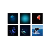 Kidystar - Beeldprojector Planetarium - Groen Ocean